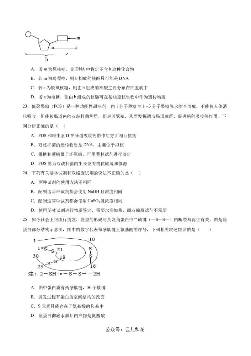 高一生物第一次月考卷（新八省通用）（考试版A4）测试范围：必修1第1-2章（人教版2019）_1多考区联考试卷