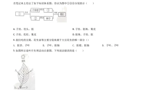 精品解析：甘肃省兰州市2020年中考生物试题（A）（原卷版）_中考真题_8.生物中考真题2015-2024年_2020生物真题74份_精品解析：甘肃省兰州市2020年中考生物试题（A）