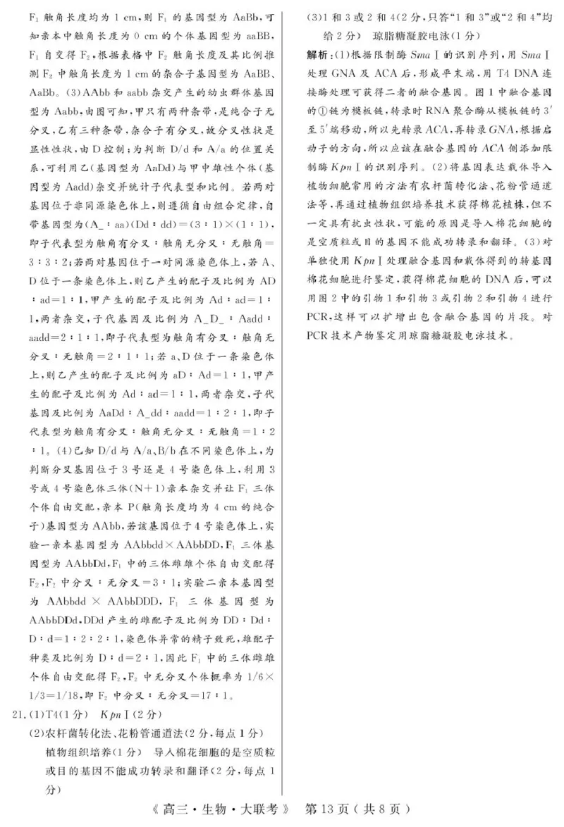 2_生物答案_2025年4月_250415河南省H20高中联盟2024-2025学年高三下学期4月联考（全科）_河南省H20高中联盟2024-2025学年高三下学期4月联考生物试卷