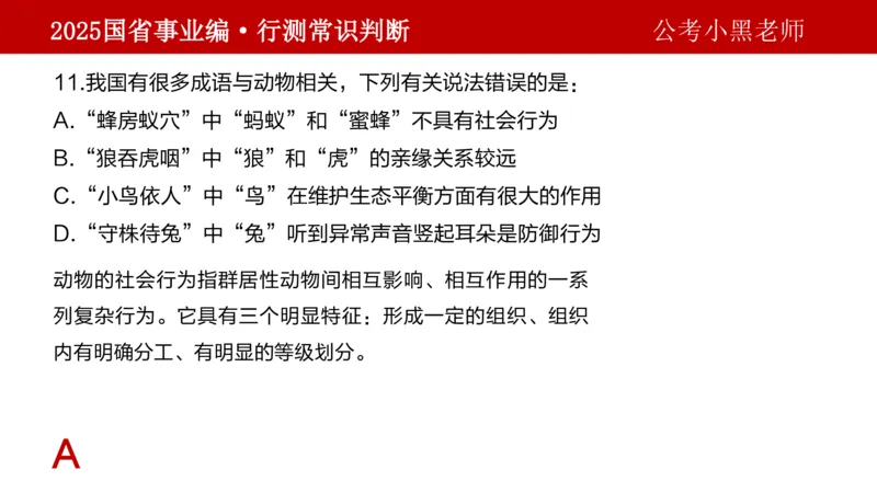 课件科技专项_2026考公资料_（11）小黑（离职去上岸村了）_公基时政政治理论小黑合集（2024+2025）_2025小黑资料合集_政治理论2025省考小黑政治理论+常识判断冲刺班_讲义