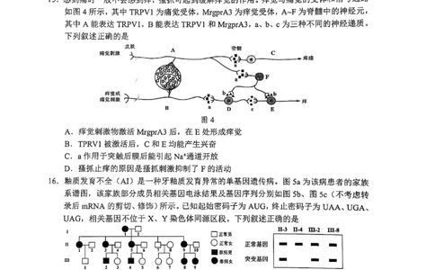 06生物&middot;广东省佛山&middot;2025届高三佛山二模（2025年4月）_2025年4月_250419广东省佛山市2025届高三下学期教学质量检测（二）（全科）
