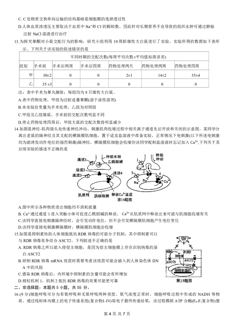 重庆市南开中学高2024届高三第五次质量检测生物试题_2024届重庆市南开中学高三第五次质量检测_重庆市南开中学高2024届高三第五次质量检测生物