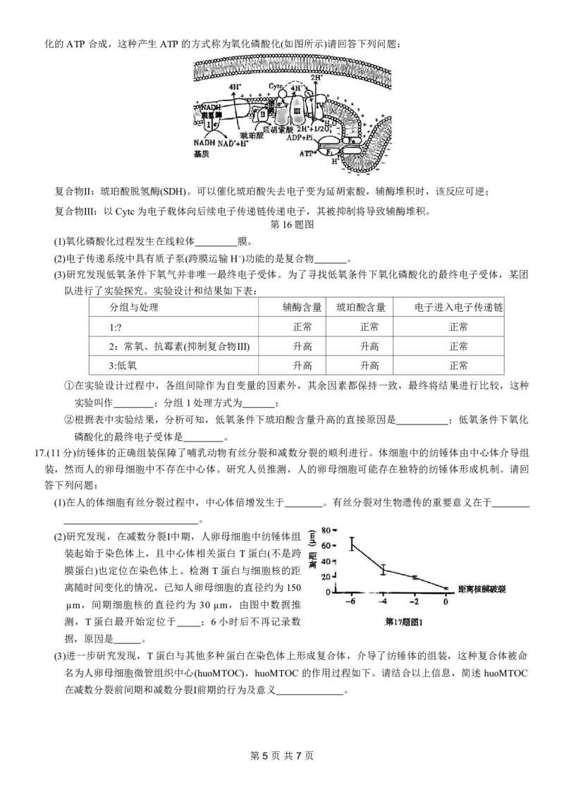 重庆市南开中学高2024届高三第五次质量检测生物试题_2024届重庆市南开中学高三第五次质量检测_重庆市南开中学高2024届高三第五次质量检测生物