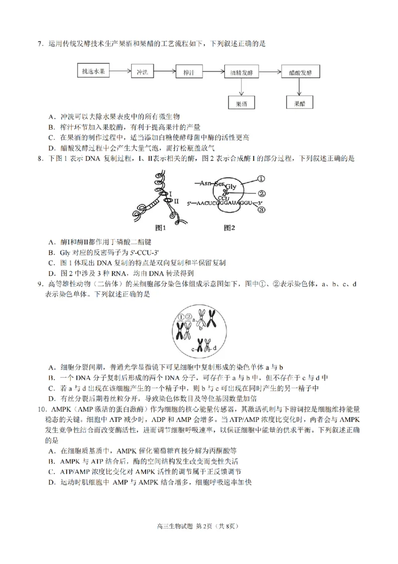 2510浙江省江浙皖共同体高三生物试卷_2025年10月_251008江浙皖高中（县中）发展共同体2025-2026学年高三上学期10月联考（全科）