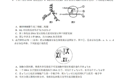 2510浙江省江浙皖共同体高三生物试卷_2025年10月_251008江浙皖高中（县中）发展共同体2025-2026学年高三上学期10月联考（全科）