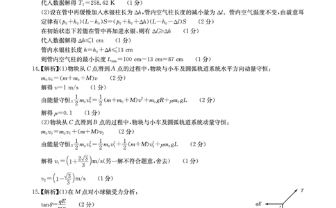 华大新高考联盟2025届高三下学期3月教学质量测评物理答案_2025年3月_250329华大新高考联盟2025届高三下学期3月教学质量测评（全科）