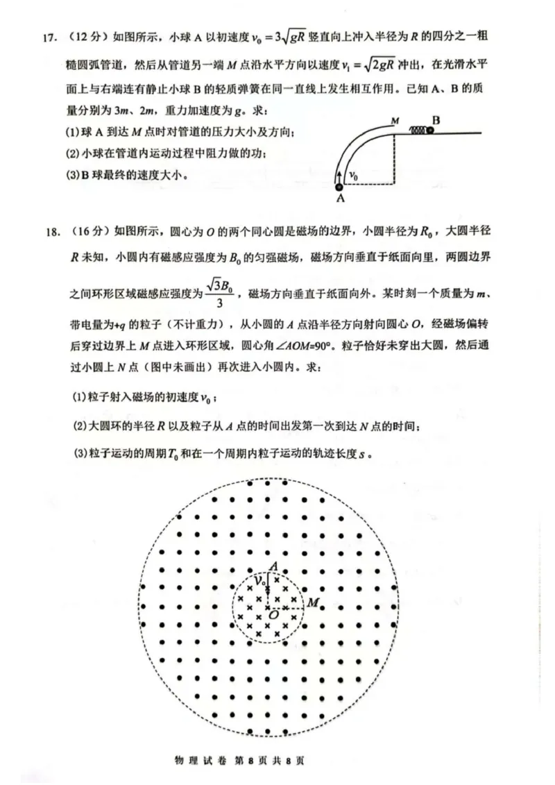 2025届海南省海口市高三下学期仿真考试物理试题_2025年4月_250417海南省海口市2025届高三年级4月仿真考试（全科）_海南省海口市2025届高三下学期仿真考试物理