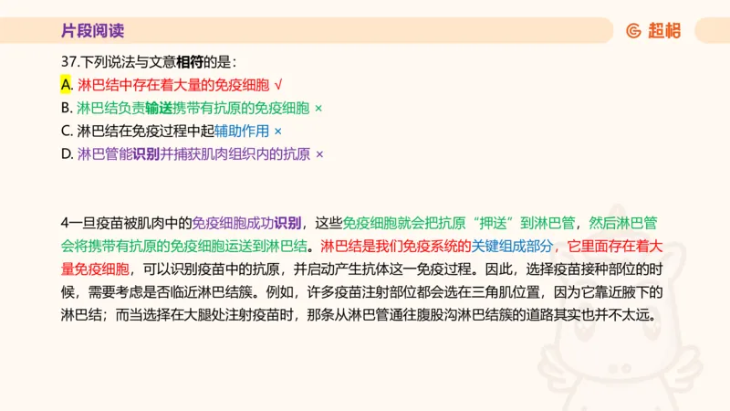 超格言语全家桶套卷模拟第四次课_20241030151222_2026考公资料_（05）超格_行测申论2025超格合集(行测&申论&政治理论)_言语2025超格言语理解全家桶_03.超大杯套题刷题阶段_讲义
