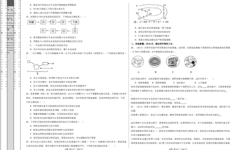 高一生物第一次月考卷（新八省通用）（考试版A3）测试范围：必修1第1-2章（人教版2019）_1多考区联考试卷