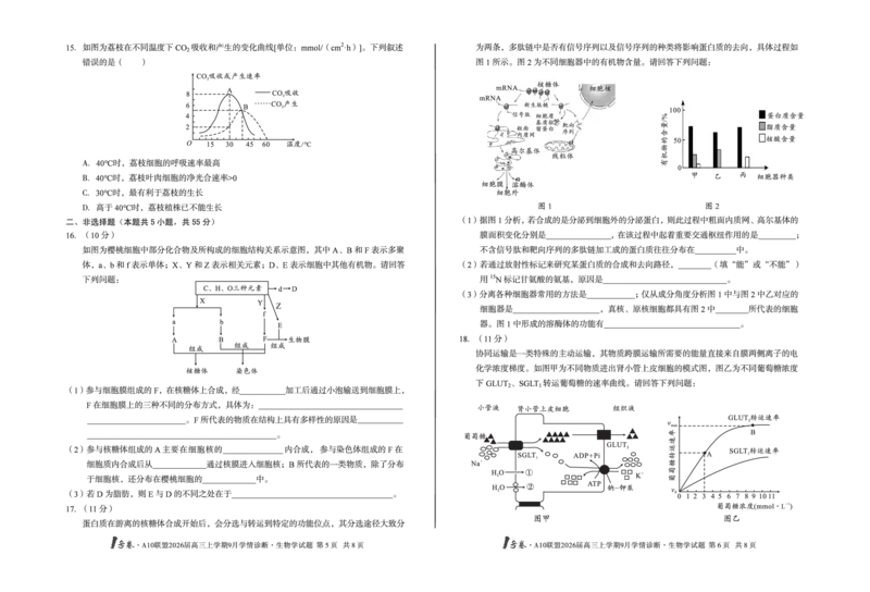8开1号卷&middot;A10联盟2026届高三上学期9月学情诊断生物学_2025年9月_250926安徽省1号卷&middot;A10联盟2026届高三上学期9月学情诊断（全科）