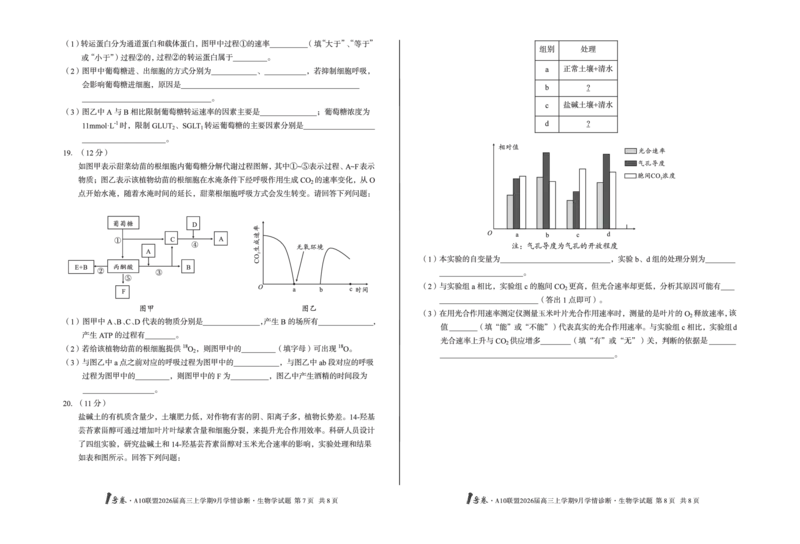 8开1号卷&middot;A10联盟2026届高三上学期9月学情诊断生物学_2025年9月_250926安徽省1号卷&middot;A10联盟2026届高三上学期9月学情诊断（全科）