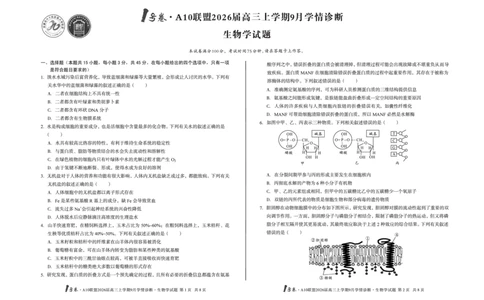 8开1号卷&middot;A10联盟2026届高三上学期9月学情诊断生物学_2025年9月_250926安徽省1号卷&middot;A10联盟2026届高三上学期9月学情诊断（全科）