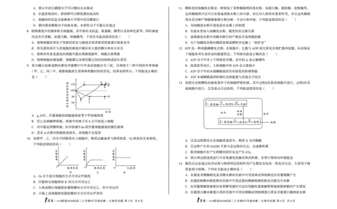 8开1号卷&middot;A10联盟2026届高三上学期9月学情诊断生物学_2025年9月_250926安徽省1号卷&middot;A10联盟2026届高三上学期9月学情诊断（全科）