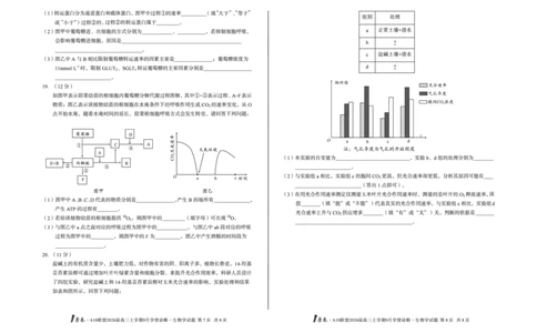 8开1号卷&middot;A10联盟2026届高三上学期9月学情诊断生物学_2025年9月_250926安徽省1号卷&middot;A10联盟2026届高三上学期9月学情诊断（全科）