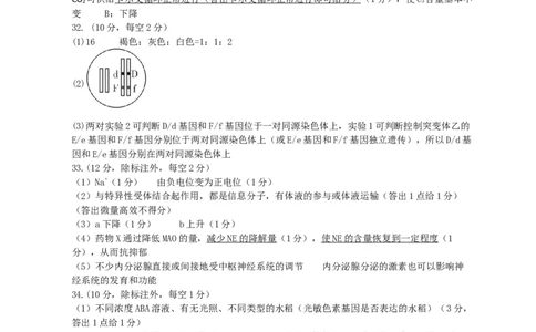 高三期末理综生物答案_2024届山西省运城市高三上学期期末调研测试_山西省运城市2024届高三上学期期末调研测试理综