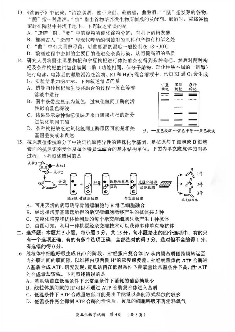 2025届山东省日照市高三校际联合考试(一模)生物试题_2025年2月_2502212025届山东省日照市高三下学期校际联合考试(一模)（全科）