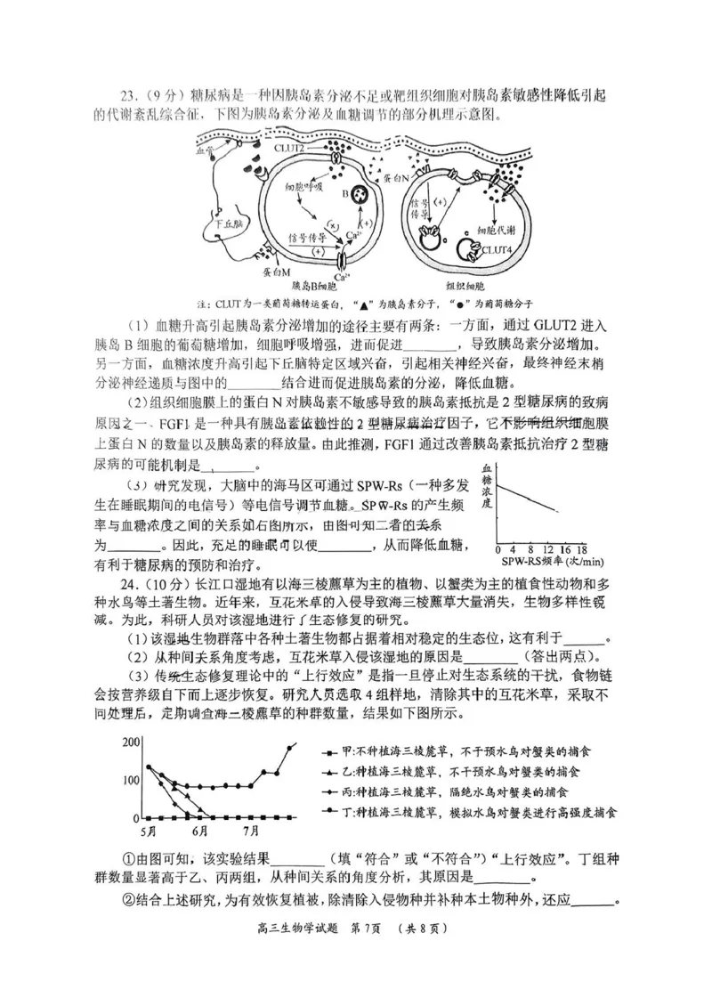 2025届山东省日照市高三校际联合考试(一模)生物试题_2025年2月_2502212025届山东省日照市高三下学期校际联合考试(一模)（全科）