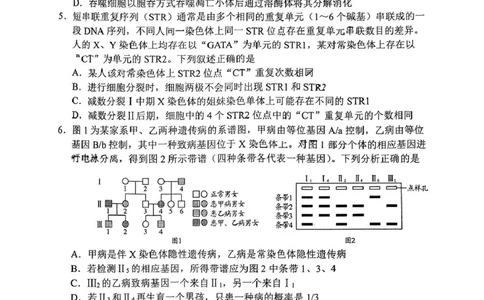 2025届山东省日照市高三校际联合考试(一模)生物试题_2025年2月_2502212025届山东省日照市高三下学期校际联合考试(一模)（全科）