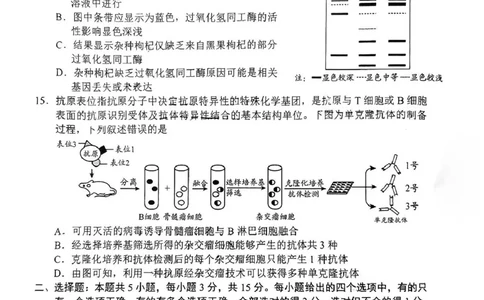 2025届山东省日照市高三校际联合考试(一模)生物试题_2025年2月_2502212025届山东省日照市高三下学期校际联合考试(一模)（全科）