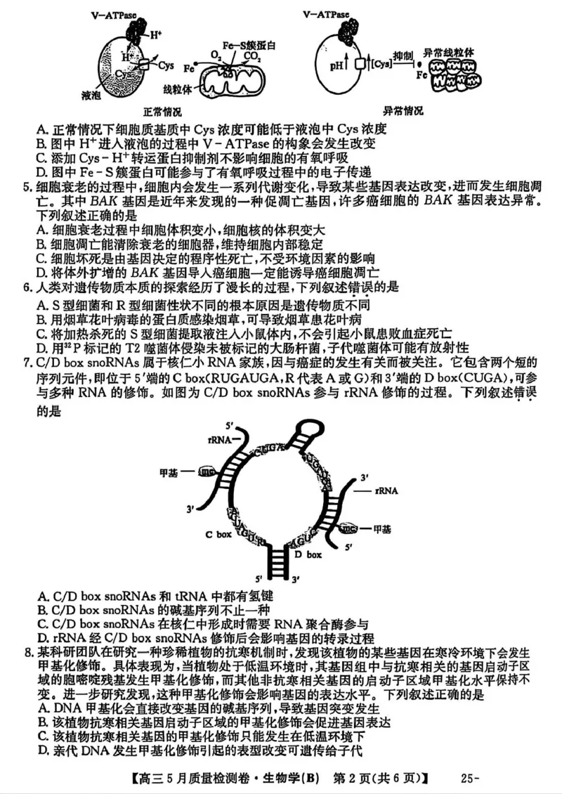 三晋卓越联盟&middot;2024-2025学年高三5月质量检测卷(25-X-635C)生物（B）_2025年5月_250525山西三晋卓越联盟&middot;2024-2025学年高三5月质量检测卷(25-X-635C)（全科）