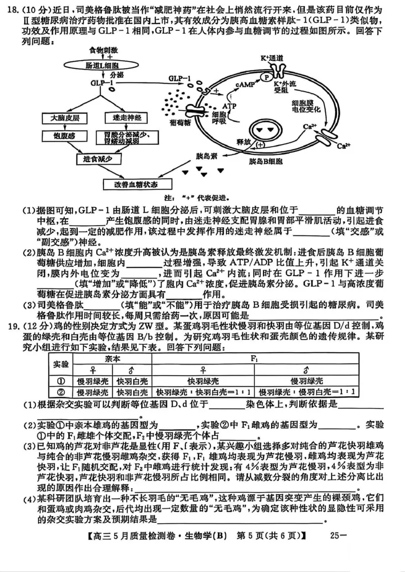 三晋卓越联盟&middot;2024-2025学年高三5月质量检测卷(25-X-635C)生物（B）_2025年5月_250525山西三晋卓越联盟&middot;2024-2025学年高三5月质量检测卷(25-X-635C)（全科）