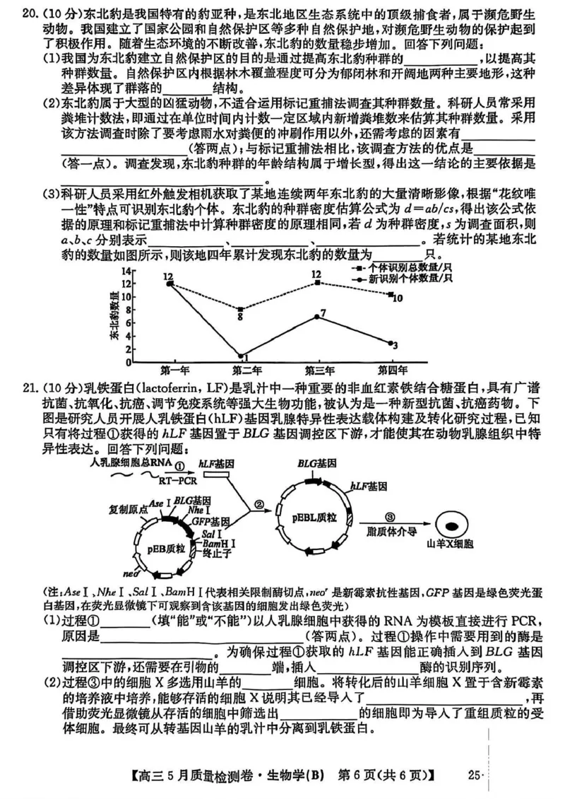三晋卓越联盟&middot;2024-2025学年高三5月质量检测卷(25-X-635C)生物（B）_2025年5月_250525山西三晋卓越联盟&middot;2024-2025学年高三5月质量检测卷(25-X-635C)（全科）