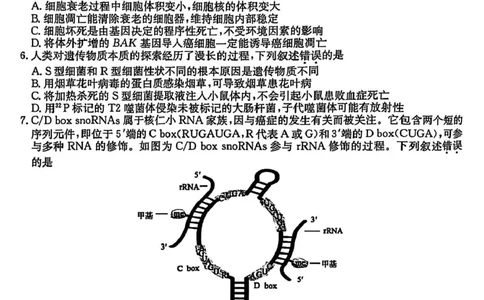 三晋卓越联盟&middot;2024-2025学年高三5月质量检测卷(25-X-635C)生物（B）_2025年5月_250525山西三晋卓越联盟&middot;2024-2025学年高三5月质量检测卷(25-X-635C)（全科）