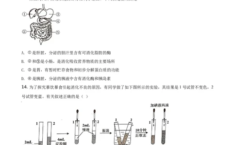 精品解析：江苏省苏州市2021年初中结业考试生物试题（原卷版）_中考真题_8.生物中考真题2015-2024年_地区卷_江苏省_苏州生物只有2021