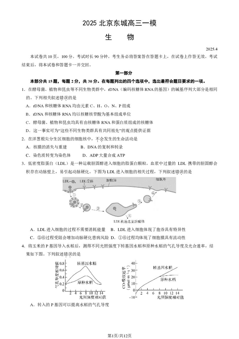 2025北京东城高三一模生物试题及答案_2025年4月_250413北京市东城区2025年高三一模（全科）