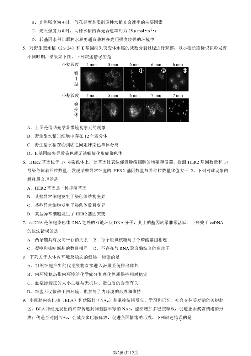 2025北京东城高三一模生物试题及答案_2025年4月_250413北京市东城区2025年高三一模（全科）