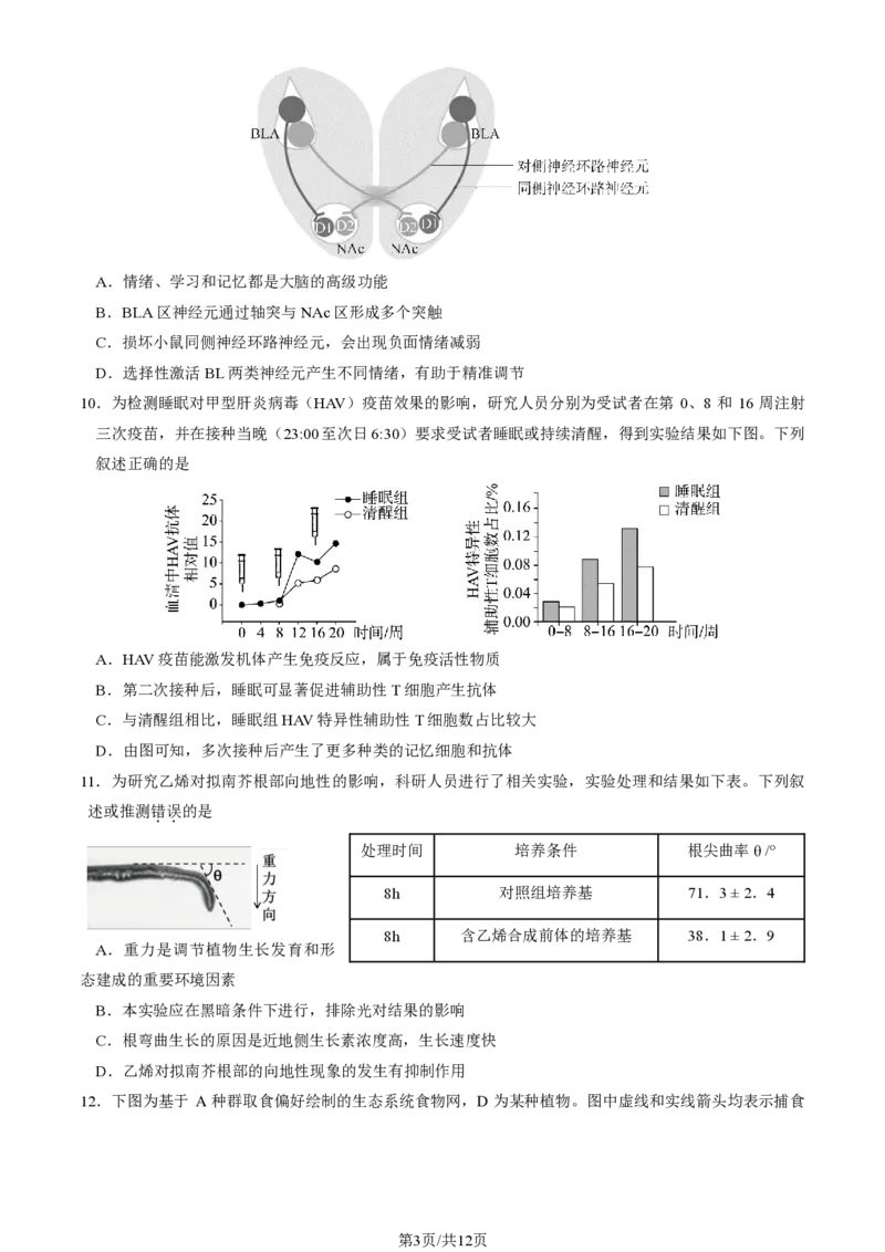 2025北京东城高三一模生物试题及答案_2025年4月_250413北京市东城区2025年高三一模（全科）
