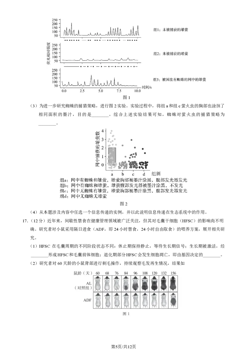 2025北京东城高三一模生物试题及答案_2025年4月_250413北京市东城区2025年高三一模（全科）