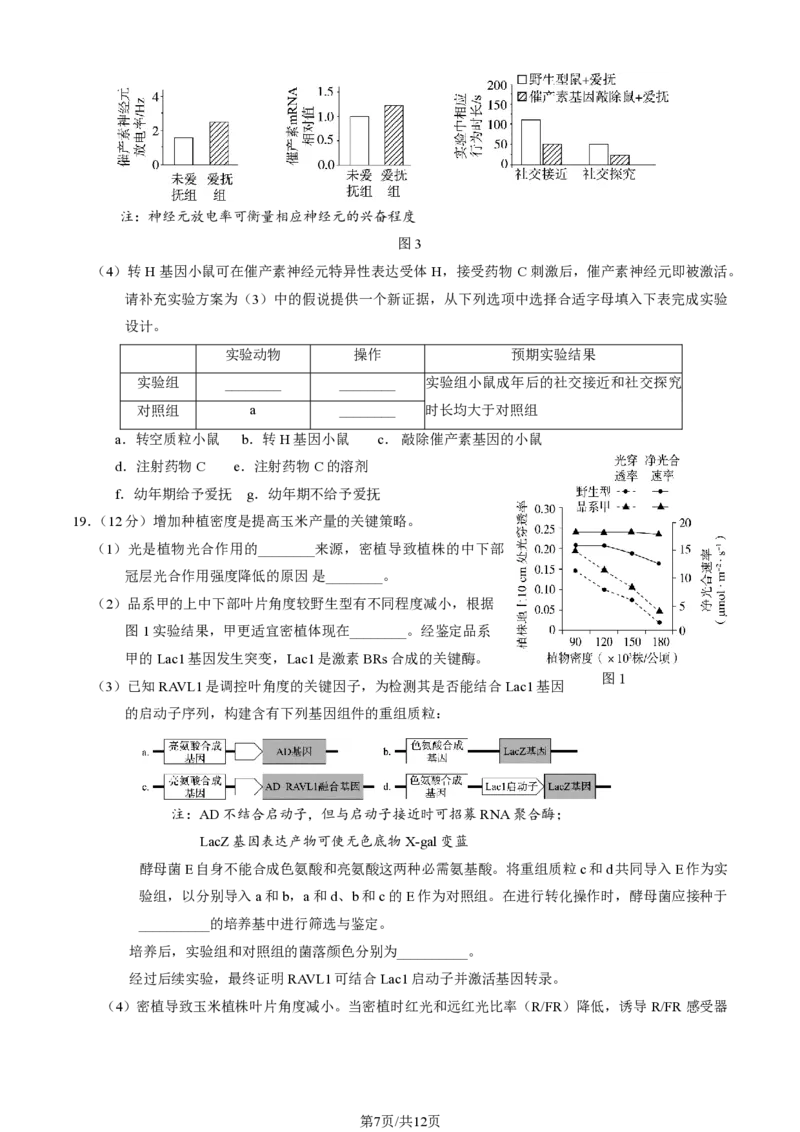 2025北京东城高三一模生物试题及答案_2025年4月_250413北京市东城区2025年高三一模（全科）