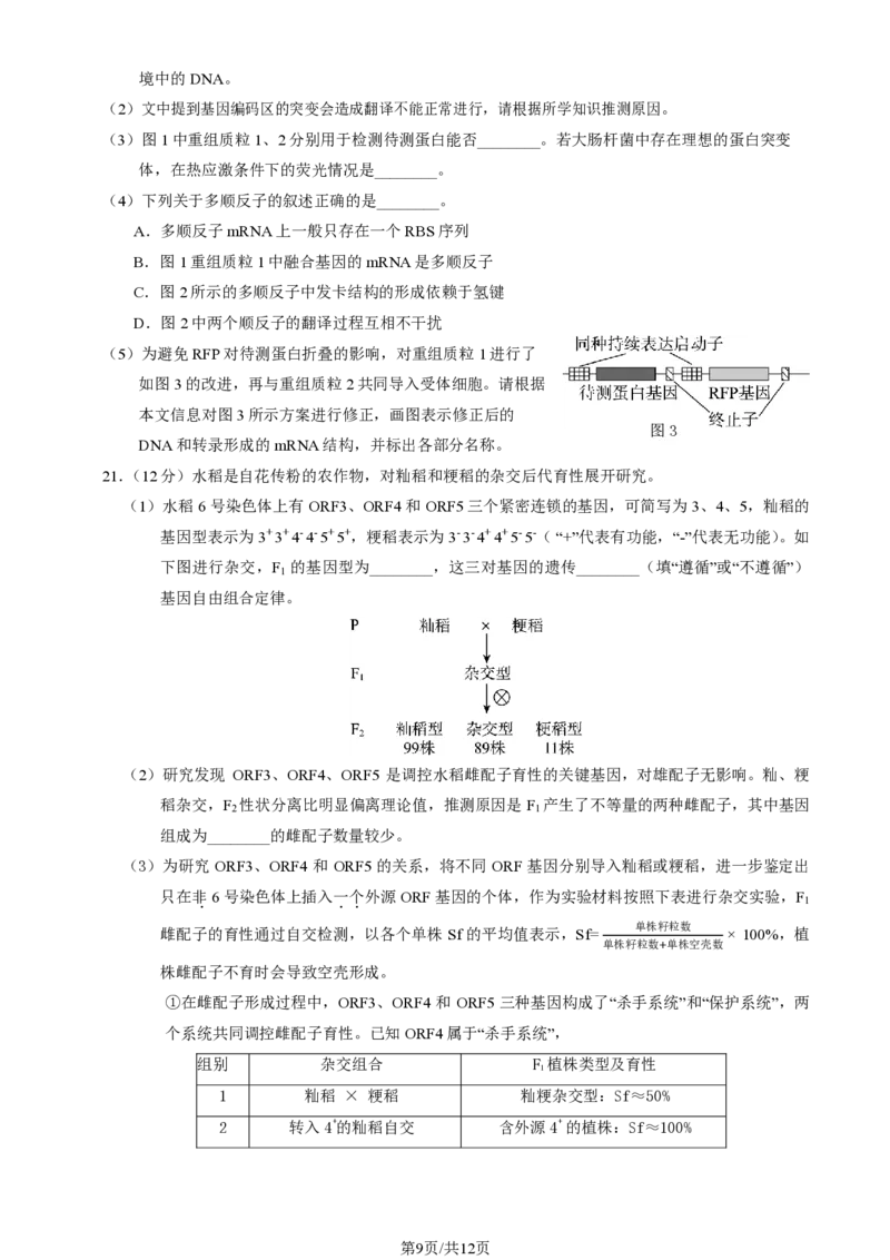 2025北京东城高三一模生物试题及答案_2025年4月_250413北京市东城区2025年高三一模（全科）