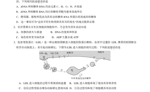 2025北京东城高三一模生物试题及答案_2025年4月_250413北京市东城区2025年高三一模（全科）