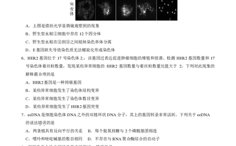 2025北京东城高三一模生物试题及答案_2025年4月_250413北京市东城区2025年高三一模（全科）