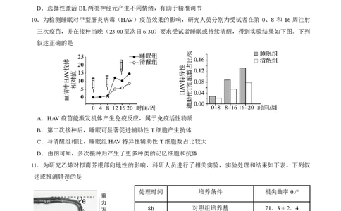 2025北京东城高三一模生物试题及答案_2025年4月_250413北京市东城区2025年高三一模（全科）