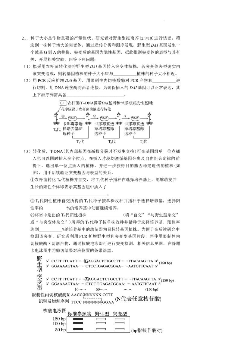 2026届广东省深圳市宝安区高三上学期教学质量检测生物试题_2025年10月_251024广东省深圳市宝安区2025-2026学年高三上学期10月教学质量检测（全科）