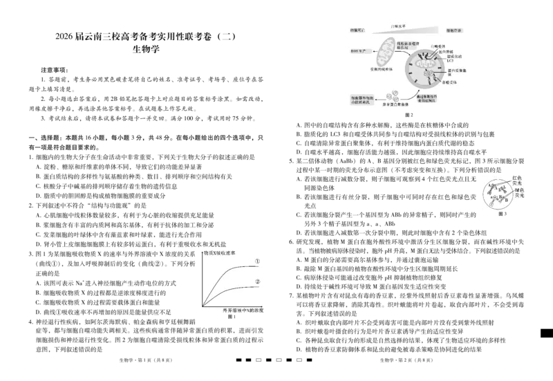 2026届云南三校高考备考实用性联考卷（二）生物-试卷_2025年8月_2508262026届云南三校高考备考实用性联考卷（二）_云南三校2026届高考备考实用性8月联考卷（二）生物+答案