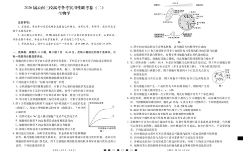 2026届云南三校高考备考实用性联考卷（二）生物-试卷_2025年8月_2508262026届云南三校高考备考实用性联考卷（二）_云南三校2026届高考备考实用性8月联考卷（二）生物+答案