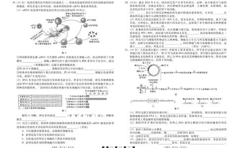 2026届云南三校高考备考实用性联考卷（二）生物-试卷_2025年8月_2508262026届云南三校高考备考实用性联考卷（二）_云南三校2026届高考备考实用性8月联考卷（二）生物+答案