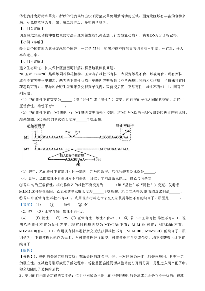 2025年1月普通高校适应性测试河南生物Word版含解析_2025年1月_❤2025年高考综合改革适应性演练（八省联考）(1)_2025年1月河南省普通高等学校招生考试适应性测试（八省联考）