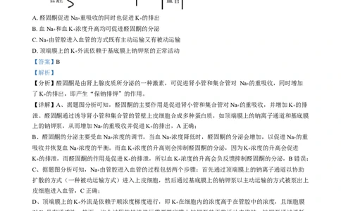 2025年1月普通高校适应性测试河南生物Word版含解析_2025年1月_❤2025年高考综合改革适应性演练（八省联考）(1)_2025年1月河南省普通高等学校招生考试适应性测试（八省联考）