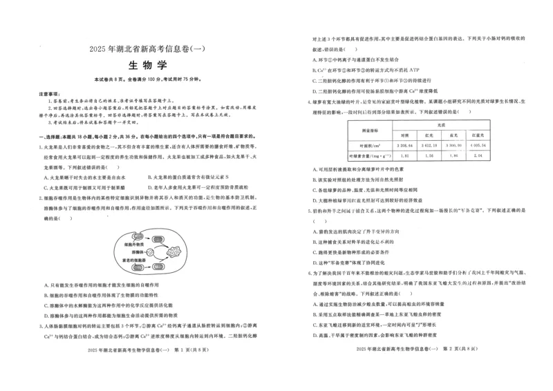 2025年湖北省新高考信息卷（一）生物_2025年5月_2505162025年湖北省新高考信息卷（一）（全科）