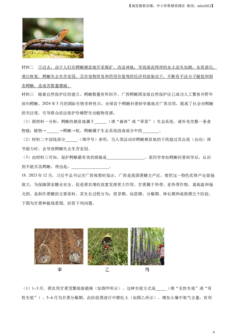 精品解析：2024年广西中考生物真题（原卷版）_中考真题_8.生物中考真题2015-2024年_2024年中考生物真题_精品解析：2024年广西中考生物试题