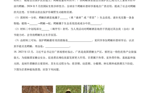 精品解析：2024年广西中考生物真题（原卷版）_中考真题_8.生物中考真题2015-2024年_2024年中考生物真题_精品解析：2024年广西中考生物试题