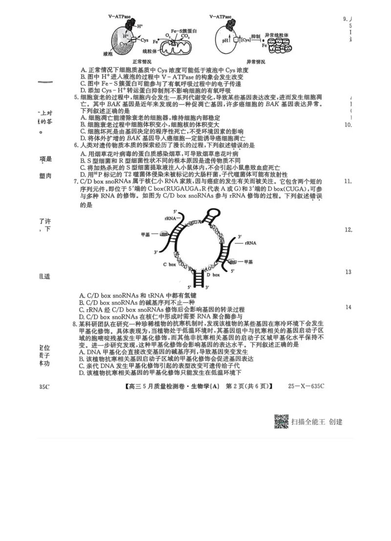 三晋卓越联盟2025届高三5月质量检测卷生物试题_2025年5月_250525山西三晋卓越联盟&middot;2024-2025学年高三5月质量检测卷(25-X-635C)（全科）