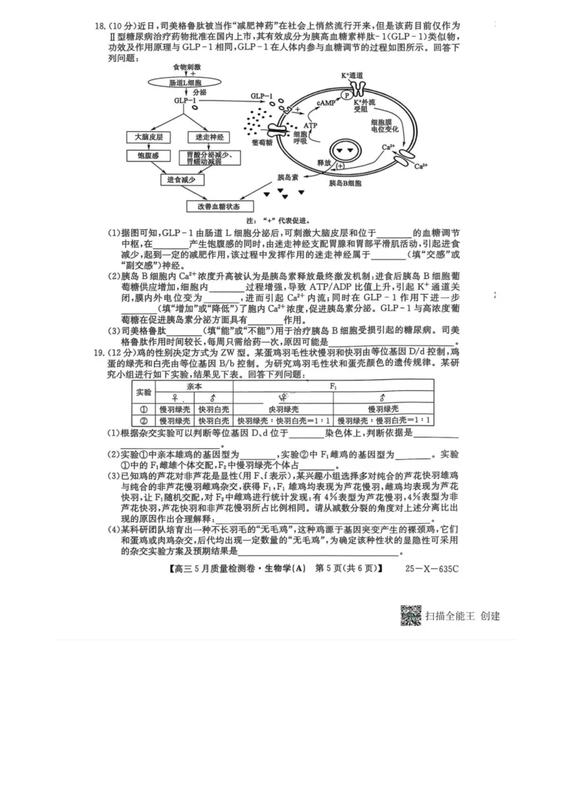 三晋卓越联盟2025届高三5月质量检测卷生物试题_2025年5月_250525山西三晋卓越联盟&middot;2024-2025学年高三5月质量检测卷(25-X-635C)（全科）