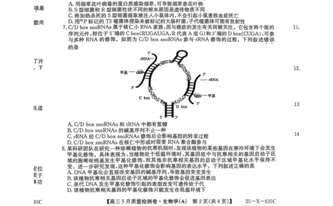 三晋卓越联盟2025届高三5月质量检测卷生物试题_2025年5月_250525山西三晋卓越联盟&middot;2024-2025学年高三5月质量检测卷(25-X-635C)（全科）