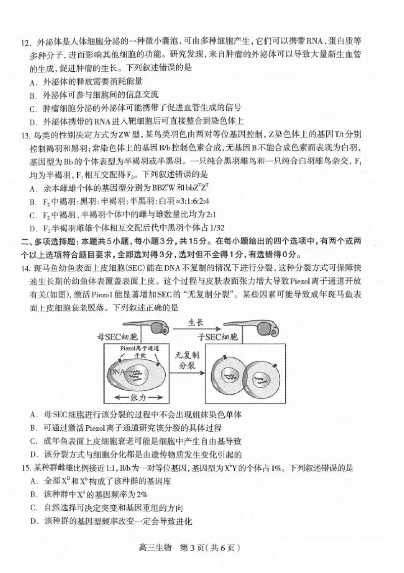 2025届河北省石家庄市普通高中毕业年级教学质量检测（一）生物试卷（含答案）_2025年3月_250312河北省石家庄市2025届高三教学质量检测（一）（全科）